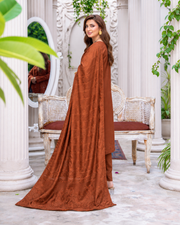 Riaz Arts Musfirah Luxury Winter Embroidered Wool Touch Peach Suit