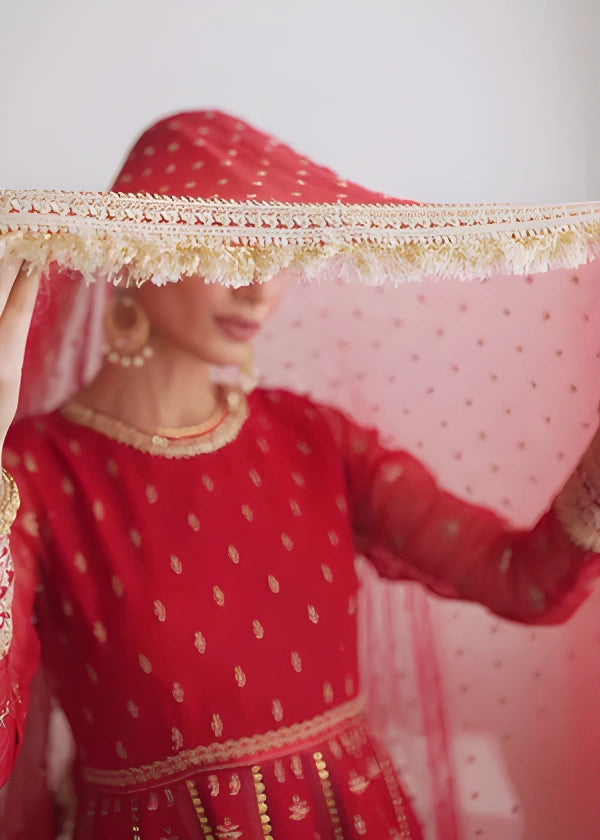Embroidered Chiffon 3-Piece Suit with Organza Border & Chiffon Dupatta