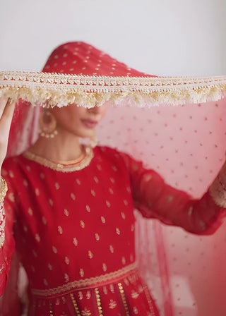 Embroidered Chiffon 3-Piece Suit with Organza Border & Chiffon Dupatta